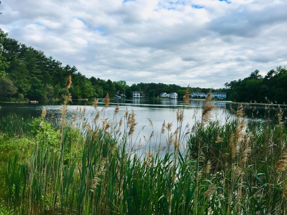 Clear Pond Getaway Apartment Plymouth Luaran gambar